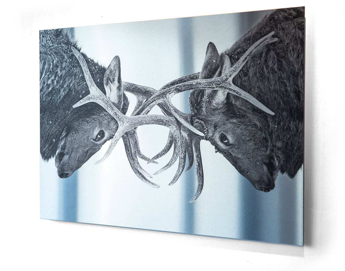 Brushed Aluminum Print