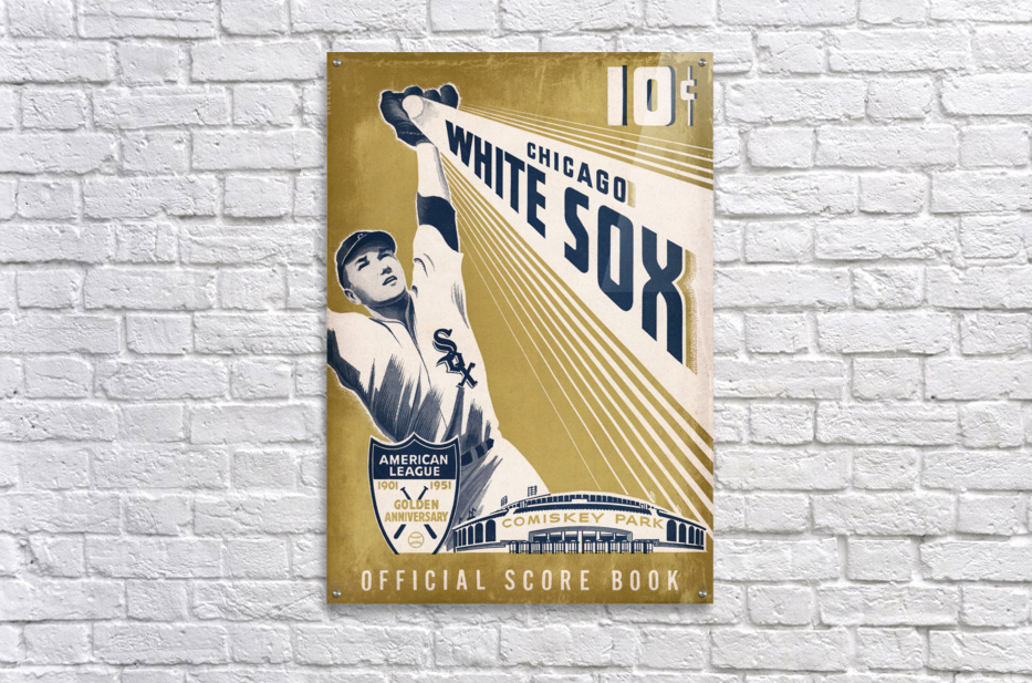 Chicago White Sox 101 [Book]