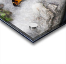 Macro Serenity: Butterfly on Rock Acrylic print