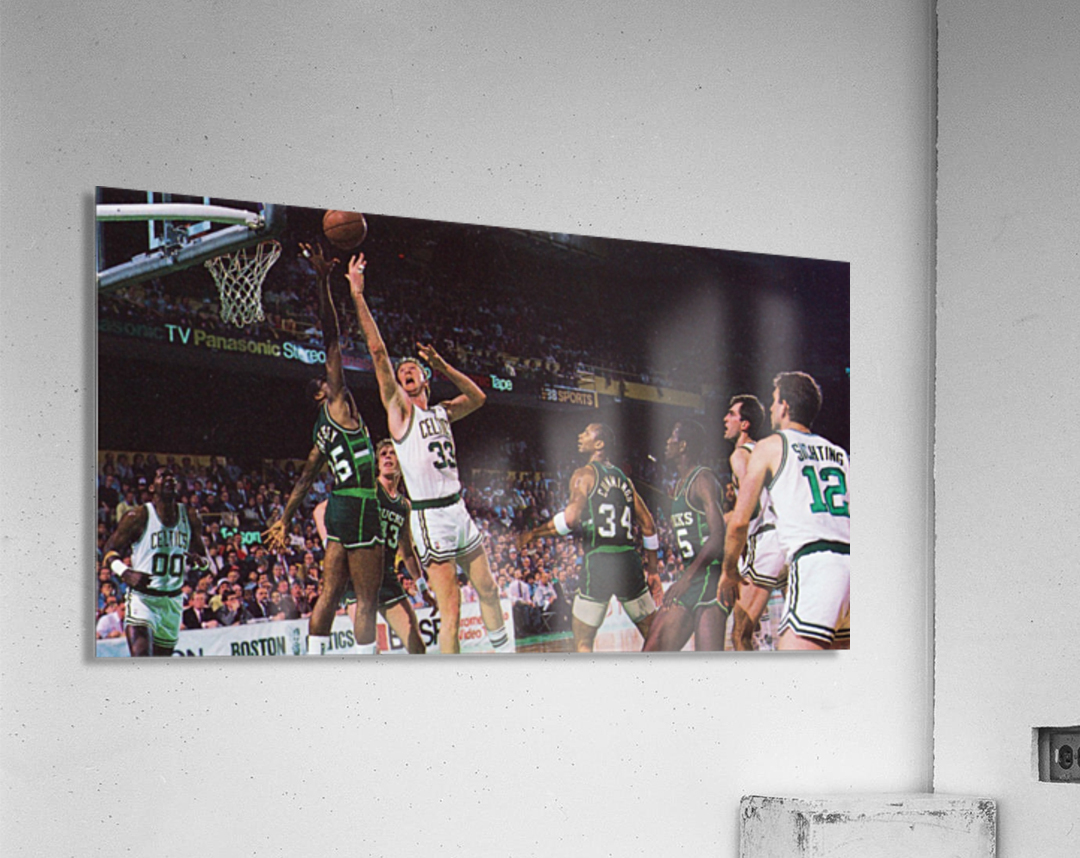 Boston Celtics Larry Bird Takes a Shot In The Boston Garden 8x10 Color  Photo Picture at 's Sports Collectibles Store