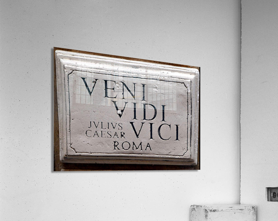 Veni vidi vici Art Print by Standard Prints / Posters