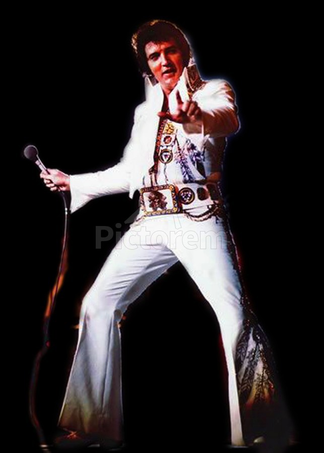 2022 King of Rock and Roll Elvis Aaron Presley Singer Suit Outfit B Edition  White Cosplay Costume