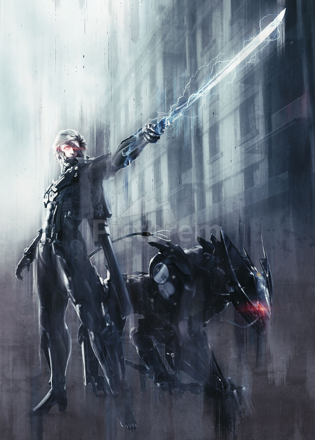 Raiden - Metal Gear Rising: Revengeance  Metal gear rising, Metal gear  series, Gear art