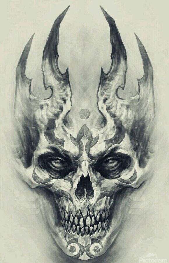 HD skull sketch wallpapers  Peakpx