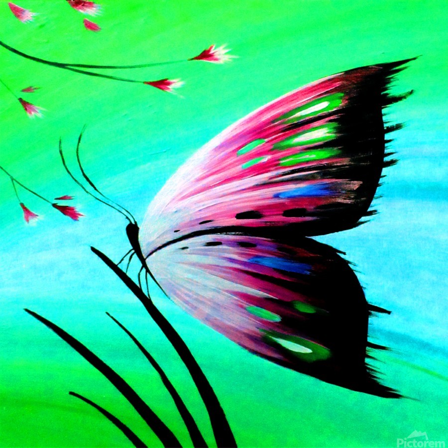 Beautiful butterfly - Nature Art