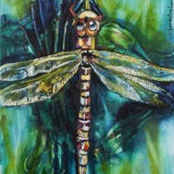 Louisiana Dragonfly