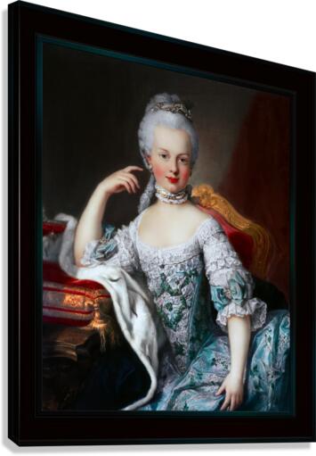 ブランド通販 Austria of Antoinette Marie Of Portrait by van Martin コスプレ衣装