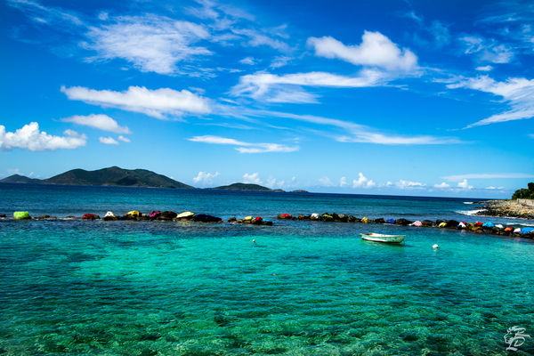 Carrot Bay Boat  Print