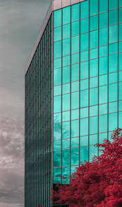 Glass Edifice