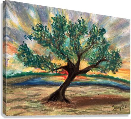 Mesquite tree in front of pond and sunset - oil pastel - Shay Morrow
