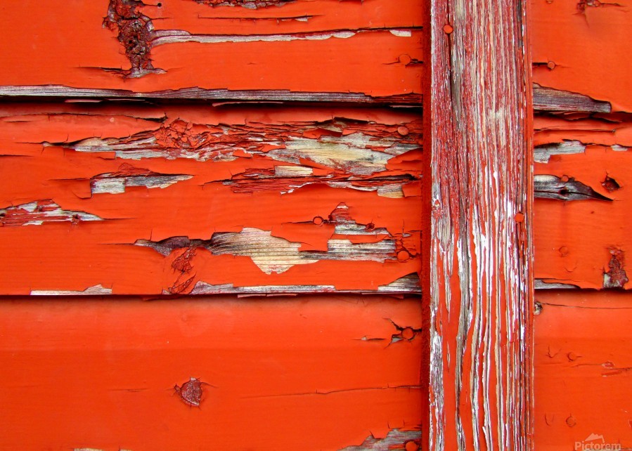 Orange Paint Images – Browse 1,595,438 Stock Photos, Vectors, and