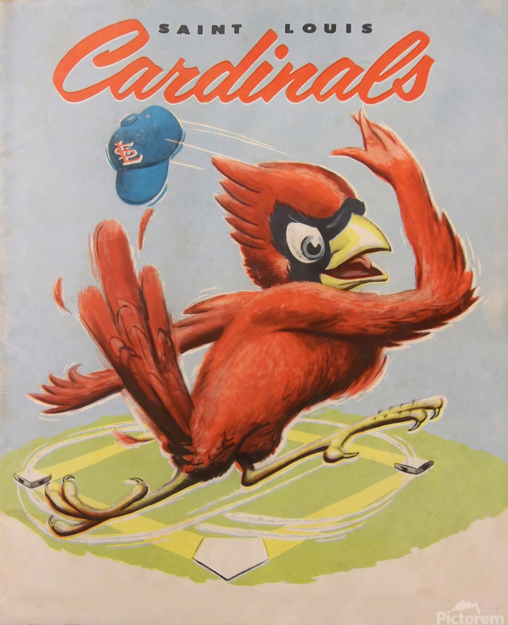 WRAPPED CANVAS 1950's St. Louis CARDINALS Print 
