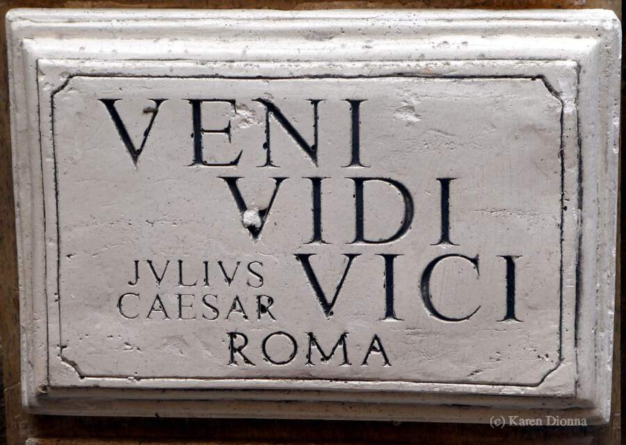 Veni Vidi Vici (I Came I Saw I Conquered) | Art Board Print