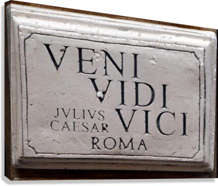 Veni vidi vici Art Print by Standard Prints / Posters