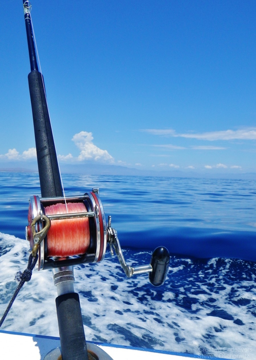 Deep Sea Fishing Rods, Full Reviews