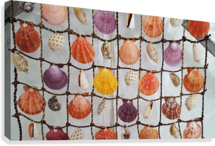 Brightly Colored Seashells Suspended on Net - Creative Endeavors