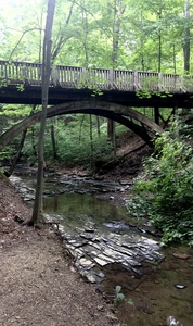 Ohio Forrest Bridge and Creek