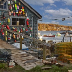 Maine Harbor