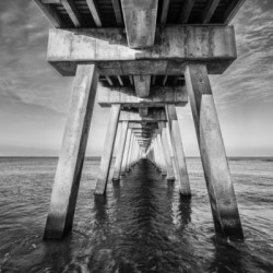 Venice Below the Pier II