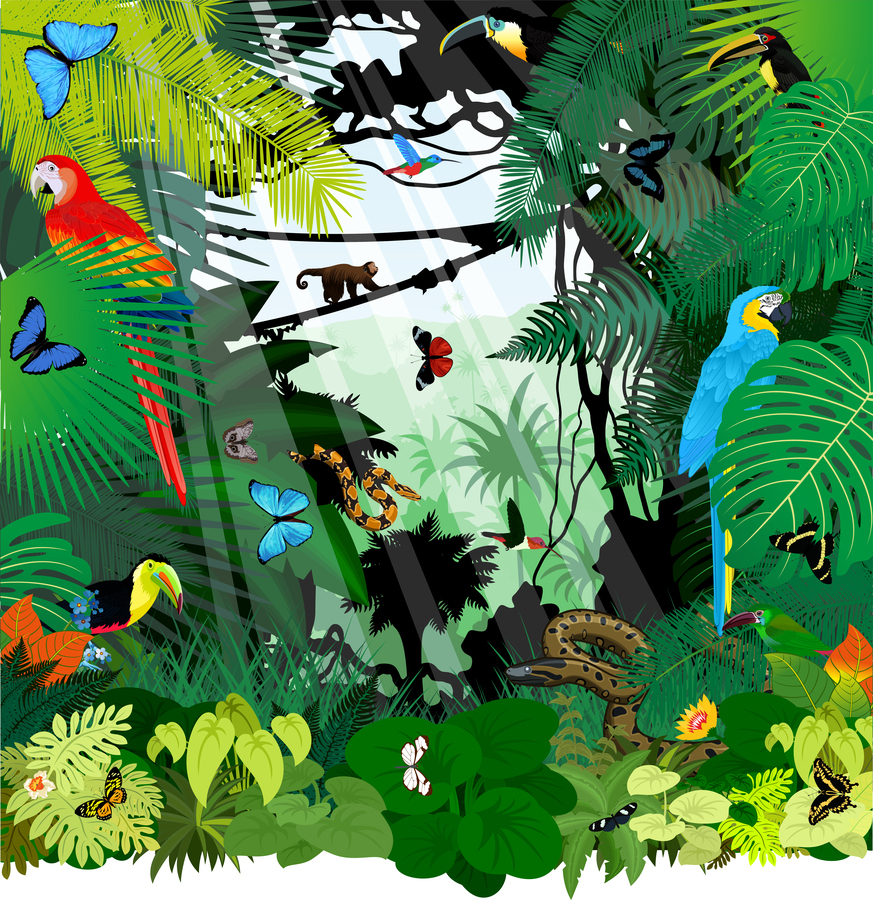 big set of vector  rainforest jungle animals Stock Vector