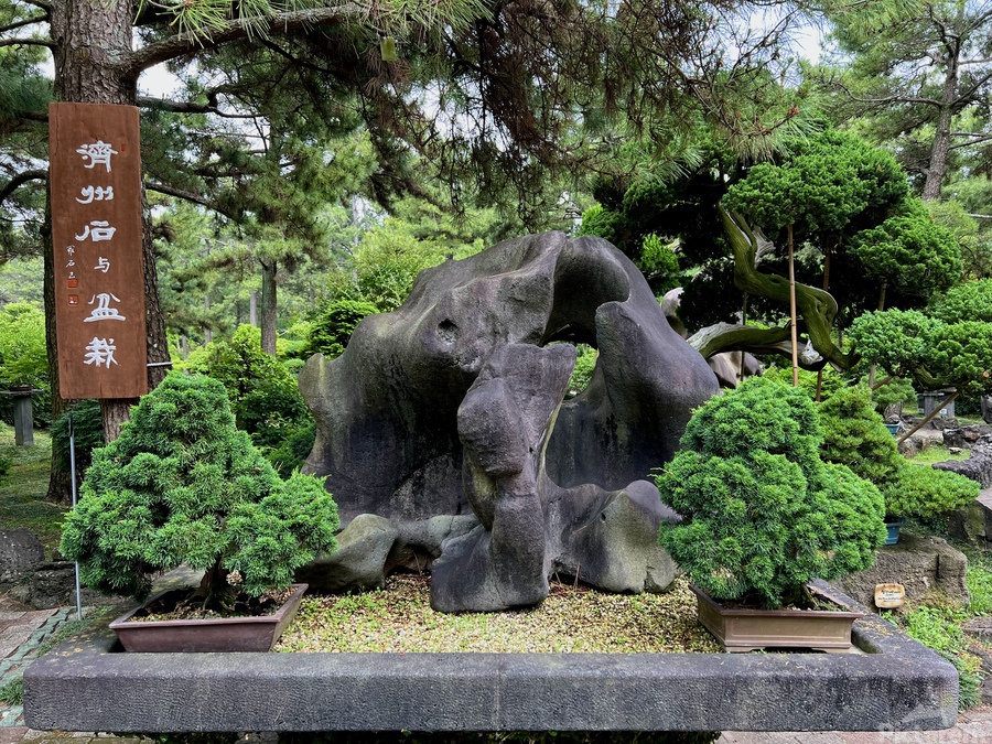 Bonsai Zen Garden - sepsis13