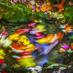 Whirlpool Great Smoky Mountain X100