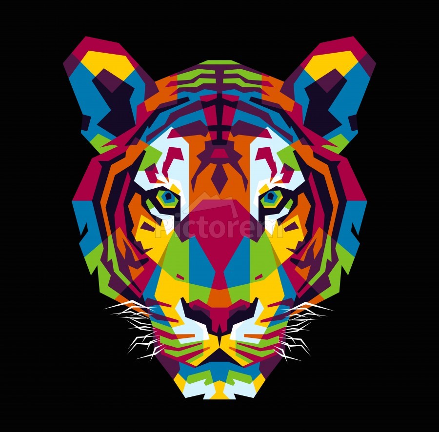 cool colored tiger drawings