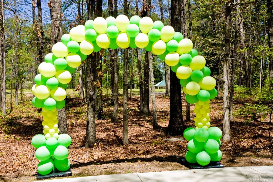 Green and Yellow Balloon Arch - Darryl Brooks
