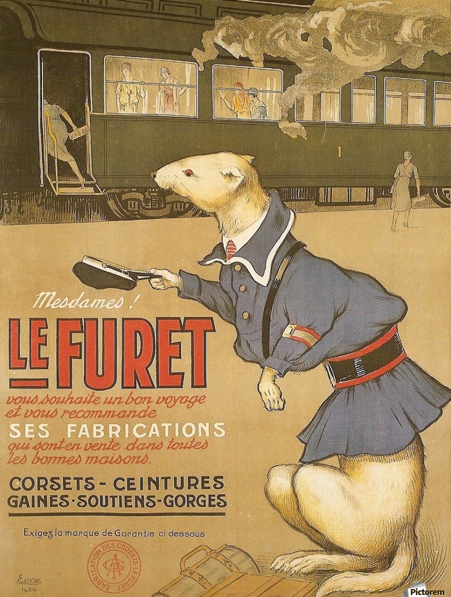Furet standard - Conrad Electronic France