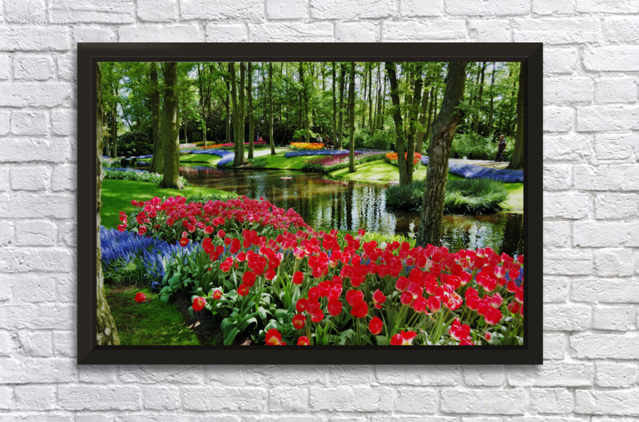 1x Vintage Poster Floral Pattern Garden Flowers Botanical Collections Wall Decor 1x Vintage Poster Floral Pattern Garden Flowers Botanical Collections Wall Decor