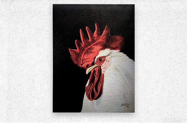 rooster 18x24 - fadel ayoub