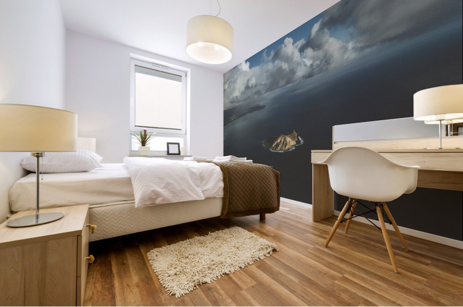 Rabbit Island Mural print