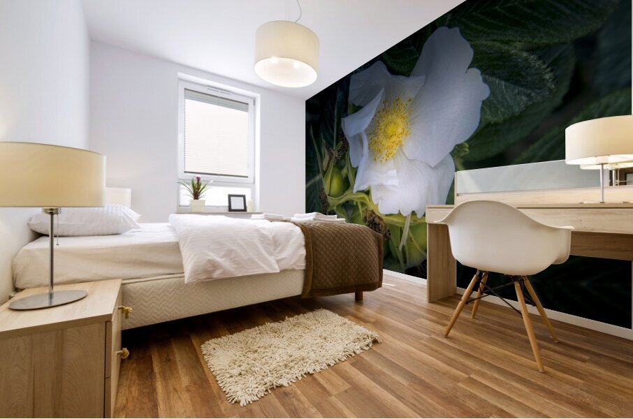 French Normandy Coastline Rose Hips Mural print