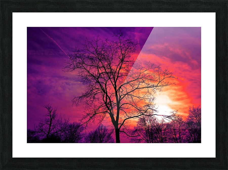 Browse Free HD Images of Sunset Creates Colorful Sky Over Trees