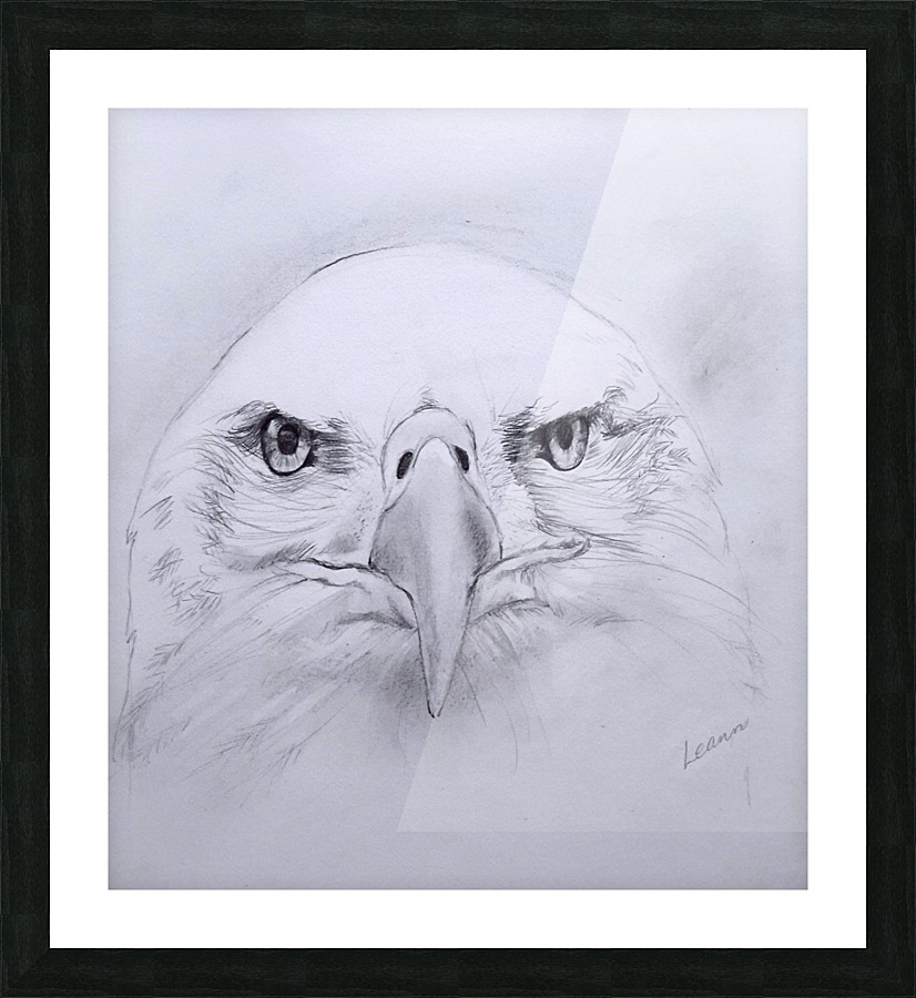 how to draw an eagle eye