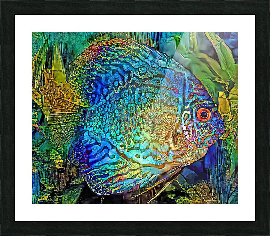 Colorful Discus Cichlid - HH Photography of Florida