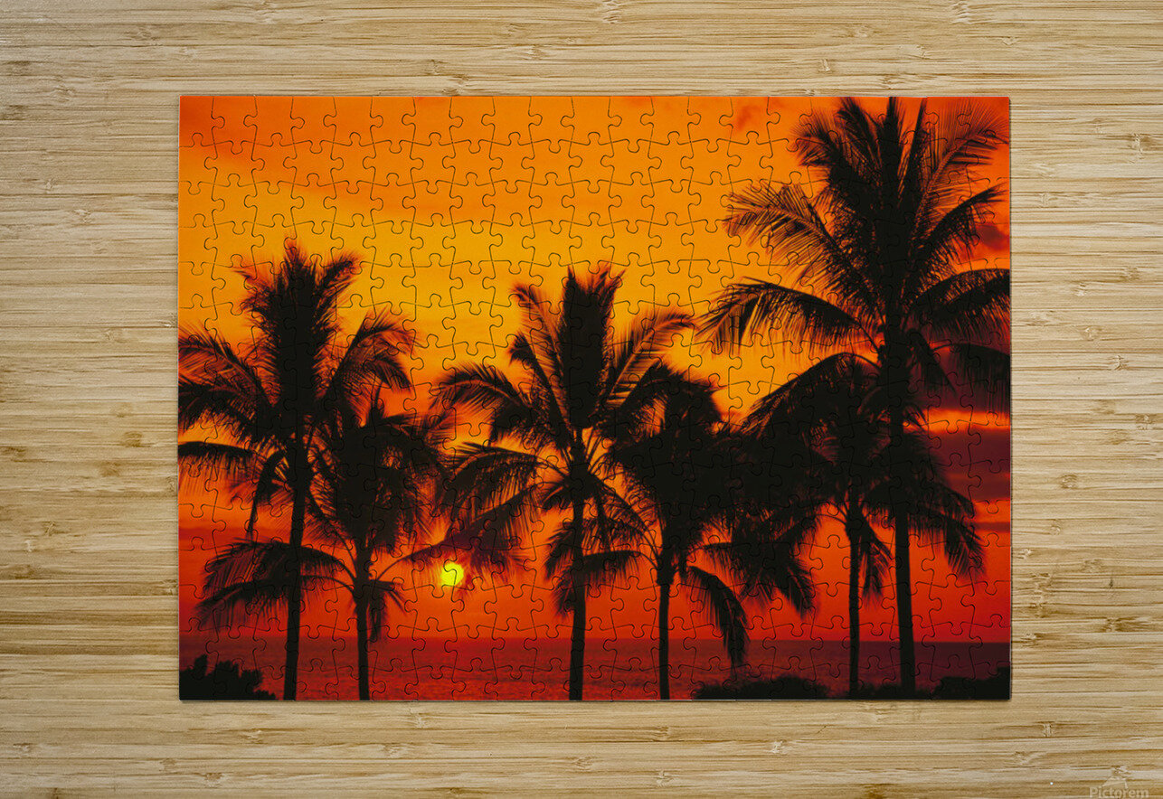 Moment 4x6 Photo Album, Orange (Palm Tree)