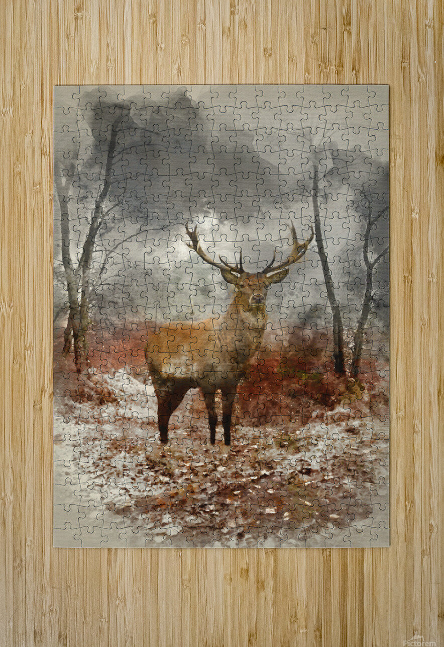 Large red deer stag in autumn Wall Mural Wallpaper