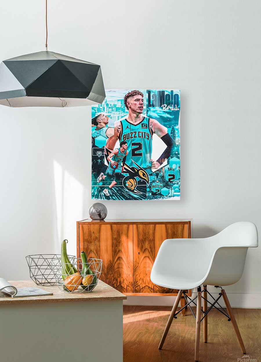 LaMelo Ball x Charlotte Hornets Designed By AR Edition - Sporteriors