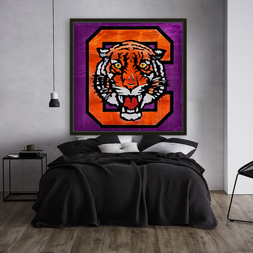 R And R Imports Clemson Tigers Vinyl Decal Sticker