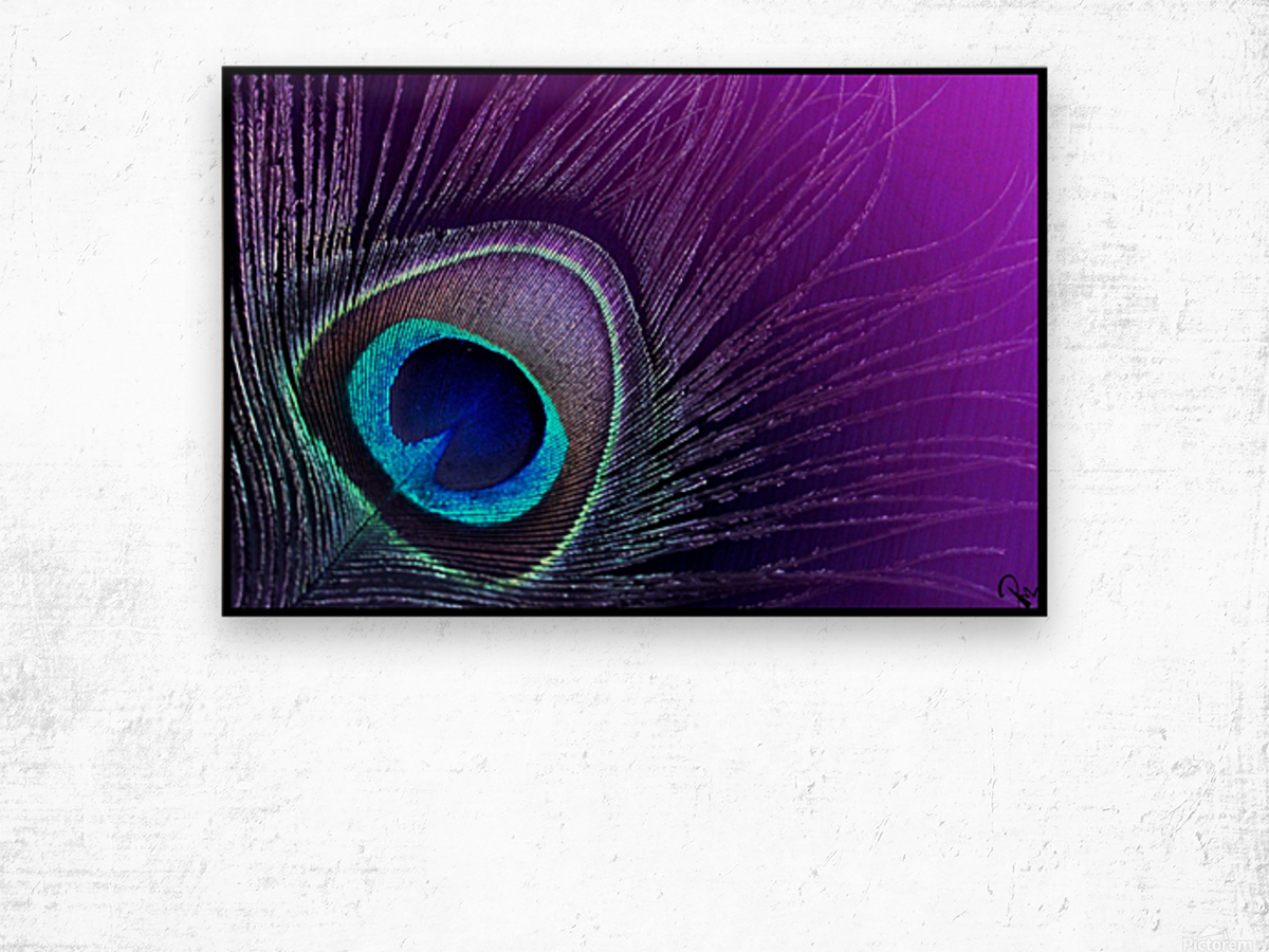 Purple Peacock Feather - Punyatoya