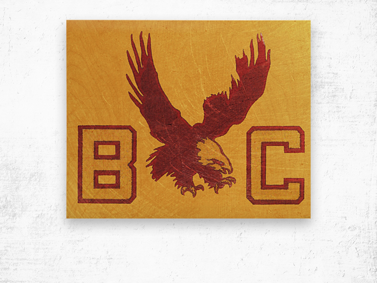 Cotton Boston College Eagles Logos Red Tone on Tone College Sports Team  Cotton Fabric Print by